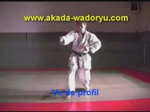 Kata & Bunkai en préparation au 1er Dan FFKAMA