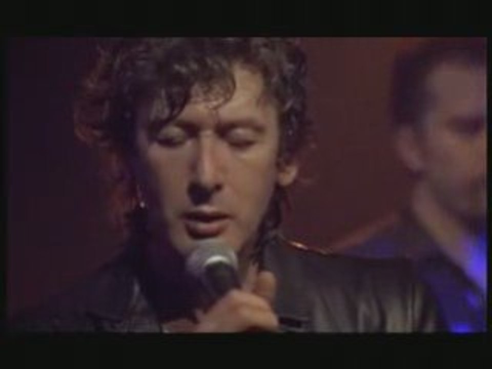 Alain Bashung-L'apiculteur