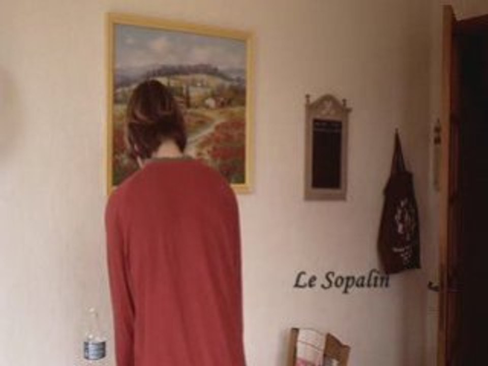 Le Sopalin
