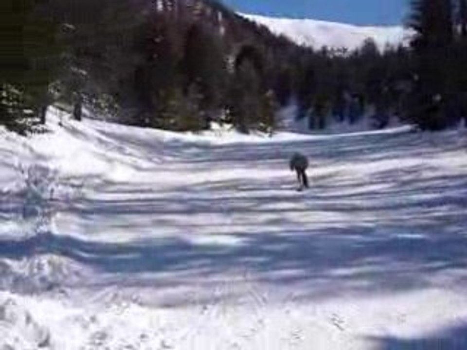 snowscoot