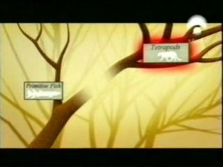 Darwin contra Dios (4)