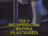PET recuperación motora