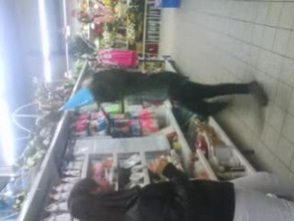 danceuse etoile