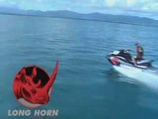 Long Horn Guadeloupe