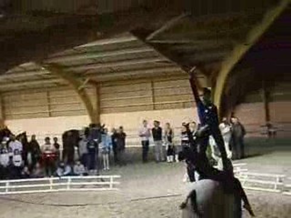 Voltige équestre 2008 Lamotte Bevron Championnat de France