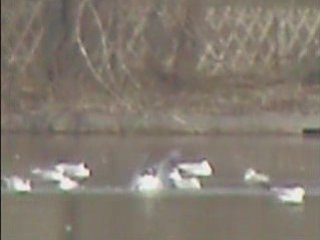 LES DIX COMMANDEMENTS TU ADORERAS PAS DEDIEU A PAR MOI