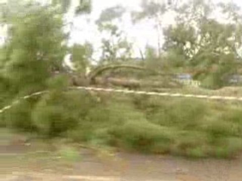 Ravages de la Tempête Klaus du 24 01 2009 Landes Aquitaine
