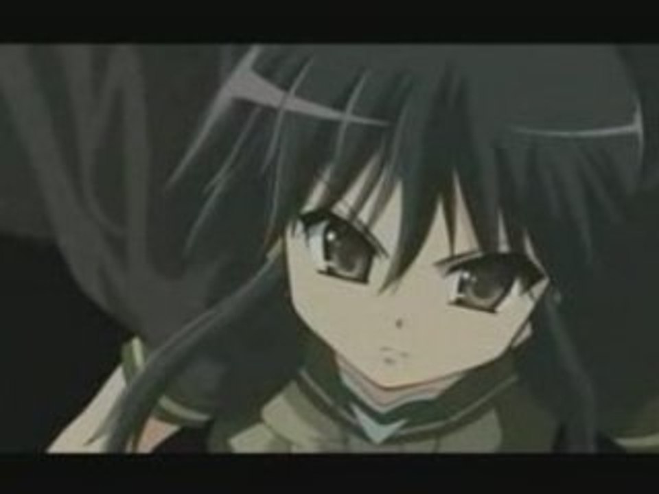AMV HSHK