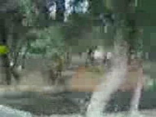 MA GAMELLE PARC LES OISEAUX TOULON