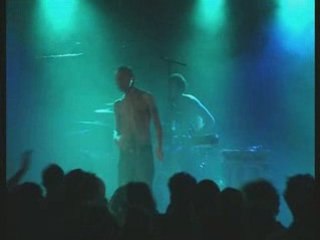 Maczde Carpate "Combat de coq"