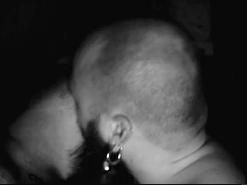 Bears Kisses