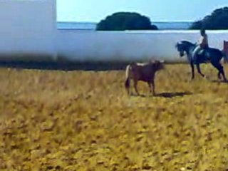 2009-02-20_12-36-52_20022009026 [High quality and size]