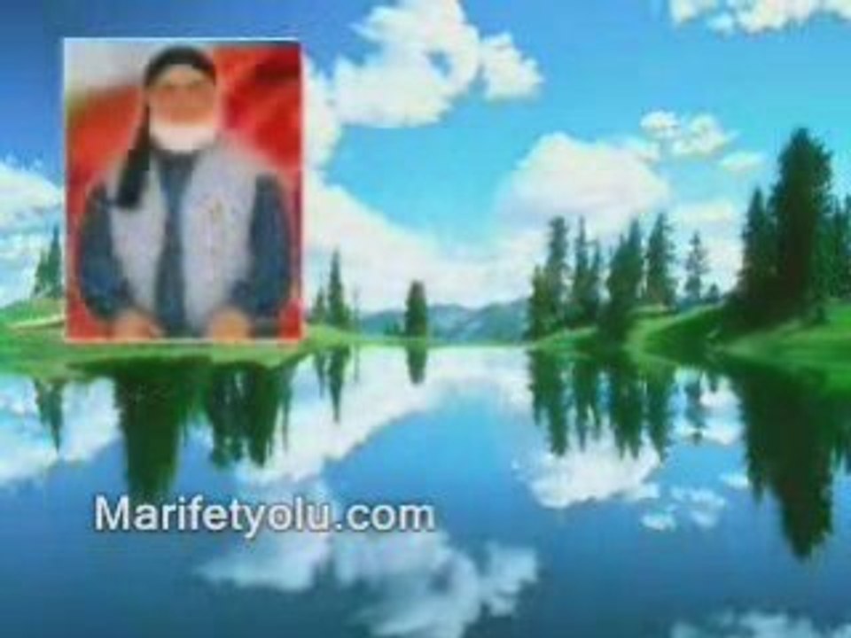 Video(2)
