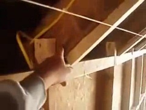 Used Transportable Homes