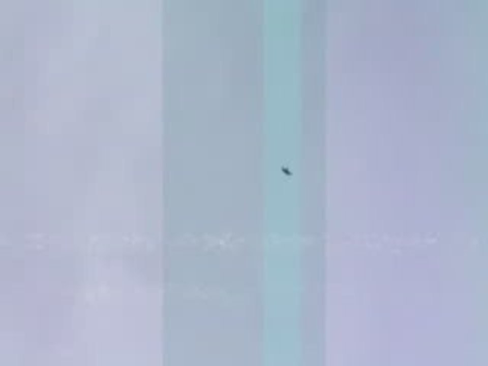 Volo