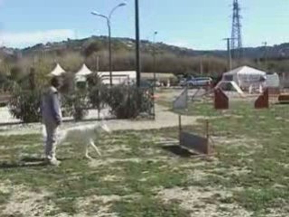 Cayenne_entrainement