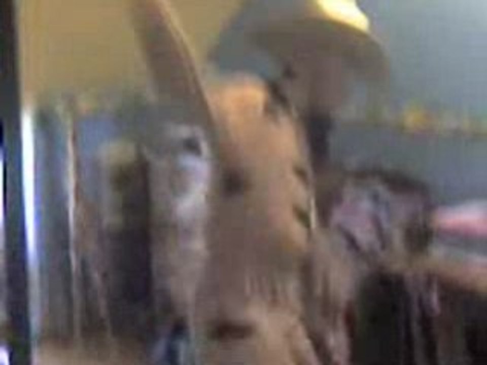 timon! little dance with chapeau a string!