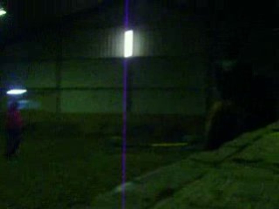 Travail sur barres au sol et cavalettis (6)