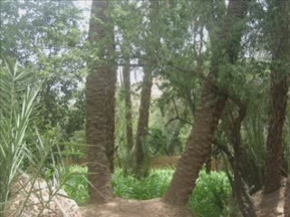 Tagmout n Yaakoub - la perle du sud marocain