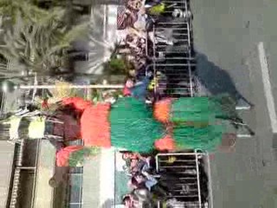 carnaval de nice 2009