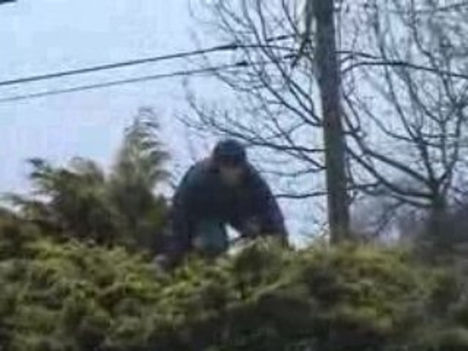 Michael qui saute du sapin