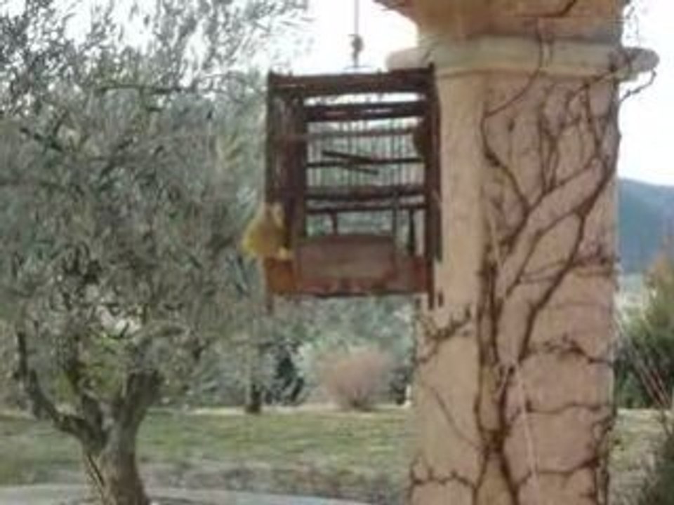 Ouvrez la cage