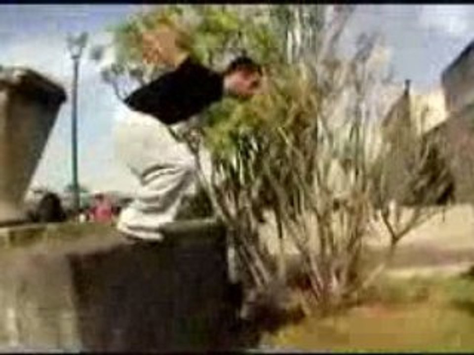 Perfil Draug [Traceur Del Mes - febrero 2009]