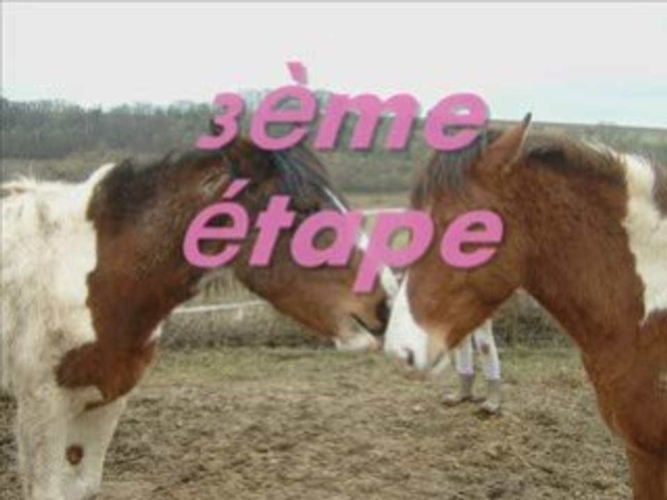 Tchoupi révérence et obstacle