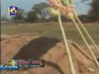 PTK LTTE militery leader is died 27/02/2009