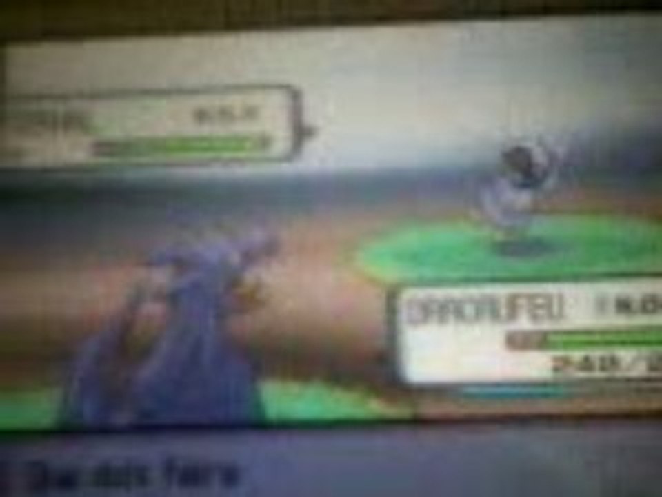 Terhal Shiney