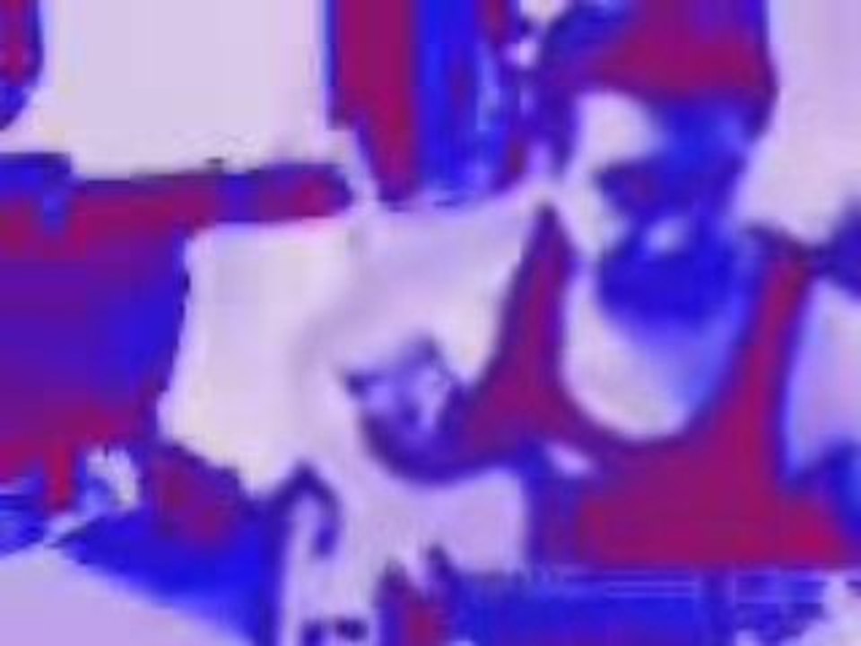 garage bass guitar 2009