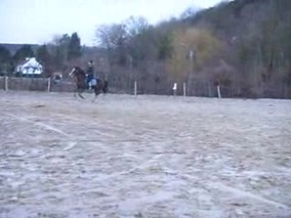 Saut Vinnie