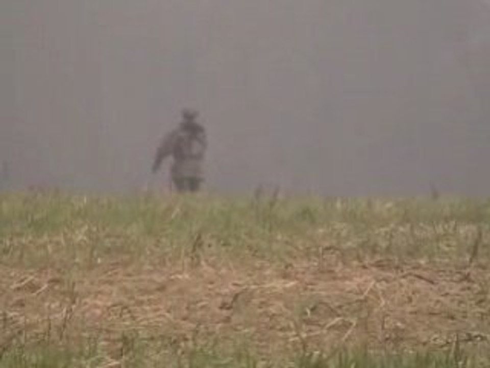 Viva Maria -  Piste au trait (TL) du Championnat National Espoir 2009