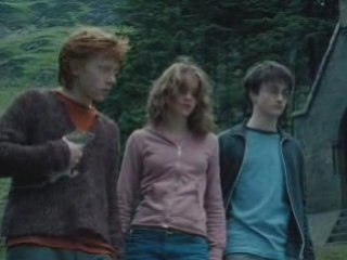 Harry Potter The Riddle