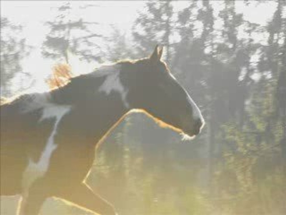 Cheyenne