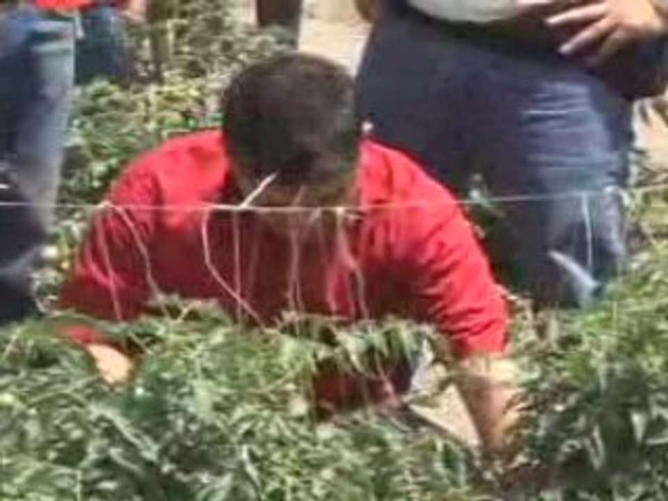 Soberanía Agroalimentaria
