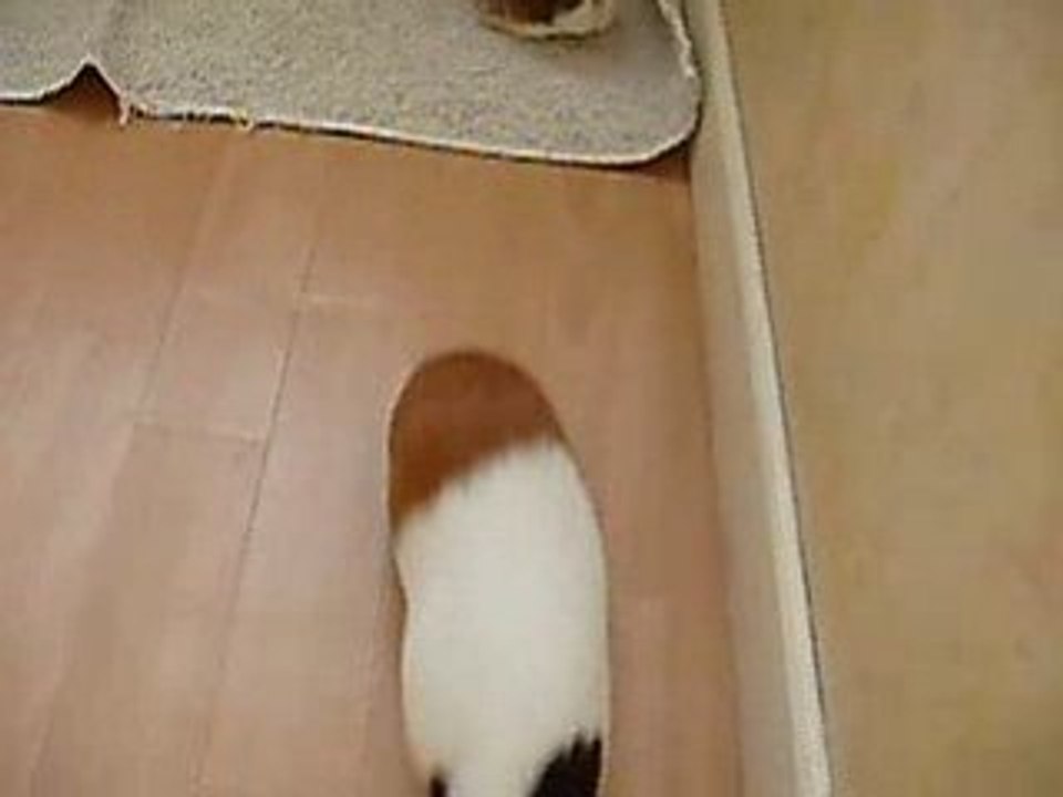 Mia et Lali