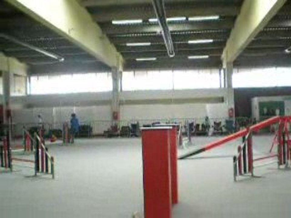 Agility Pirouette