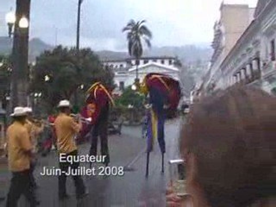 Equateur juin-juillet 2008       1 INTRODUCTION