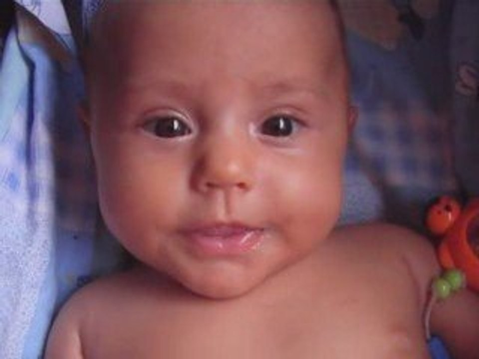 Griffer
