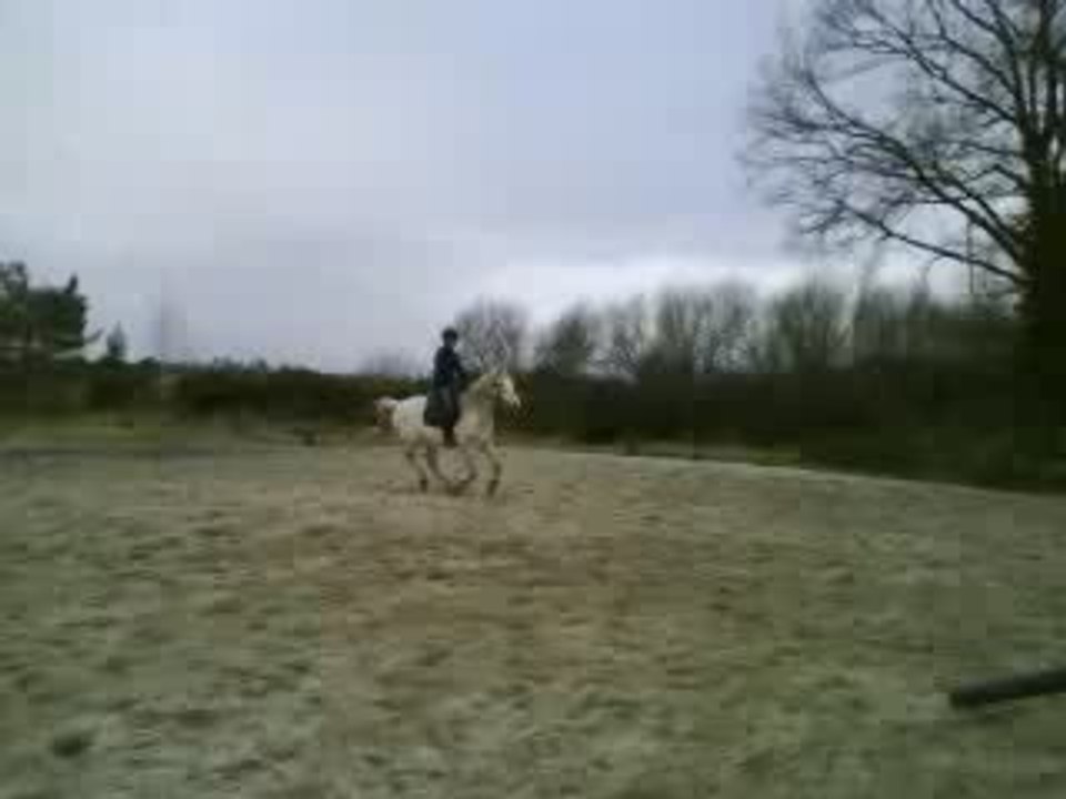 Figaro Oxer 20.02.2009
