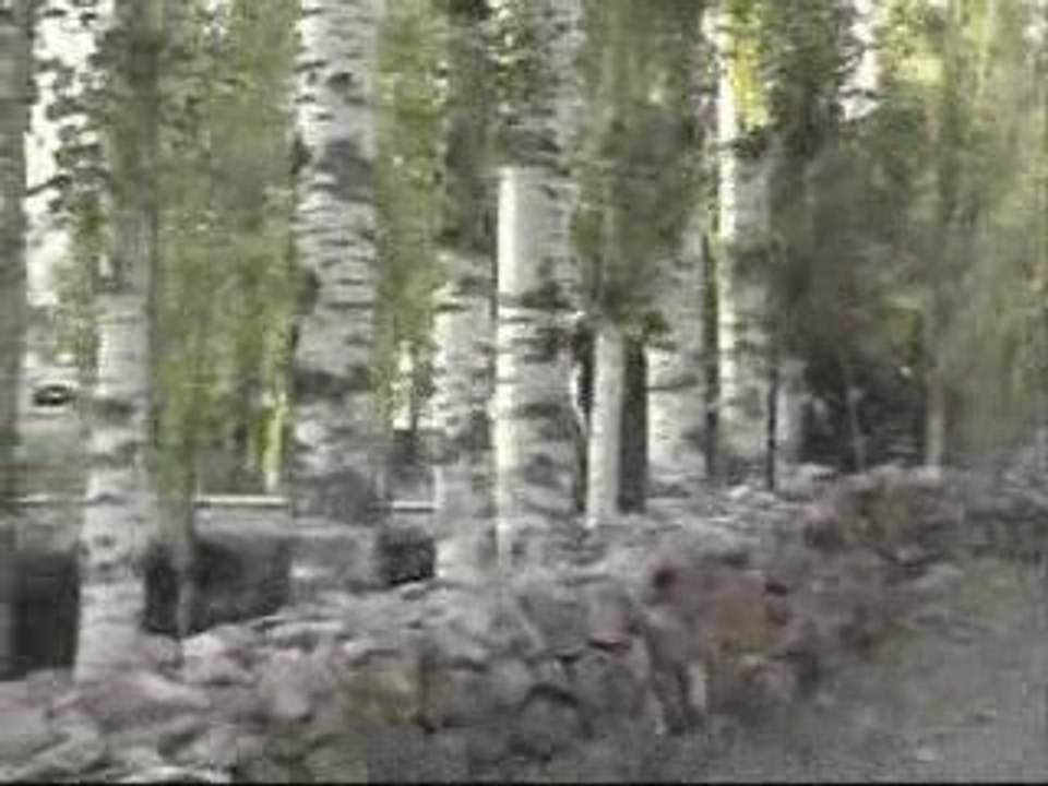 Mehmet KORKMAZ-giderken ellerinide götürdü