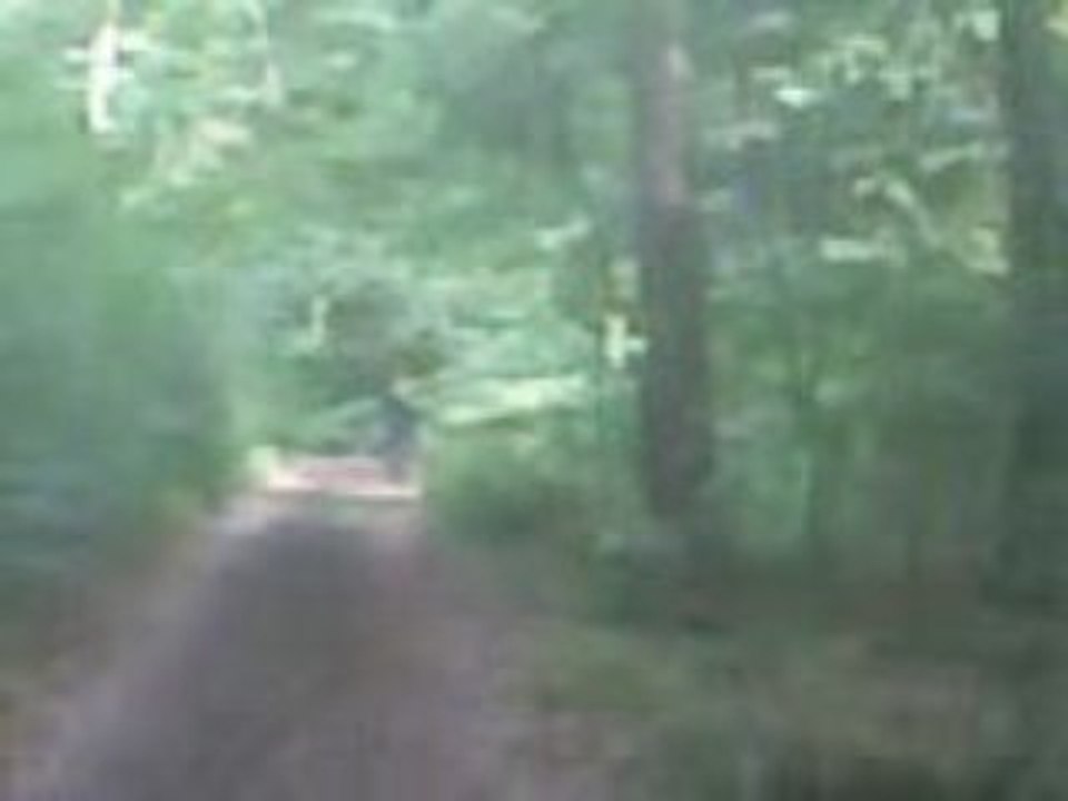 rodo sur sa pit-bike