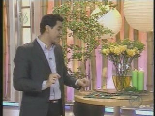 Alfonso Leon el arbol del dinero