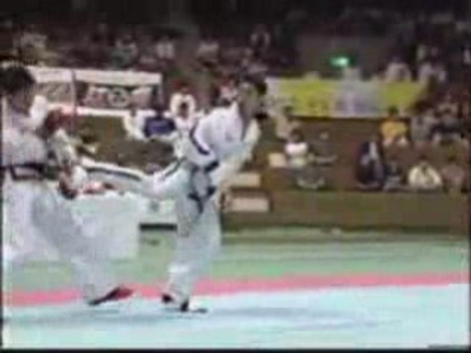 Tae Kwon-Do Itf Hwang Su Il