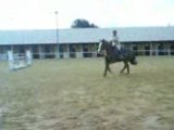 Cours obstacle 26/02