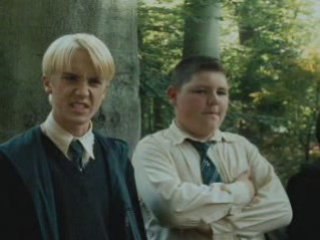 Harry Potter Fantasies Come True