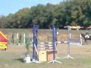 Nestor de Billeron. CCE Saint Fargeau 2008