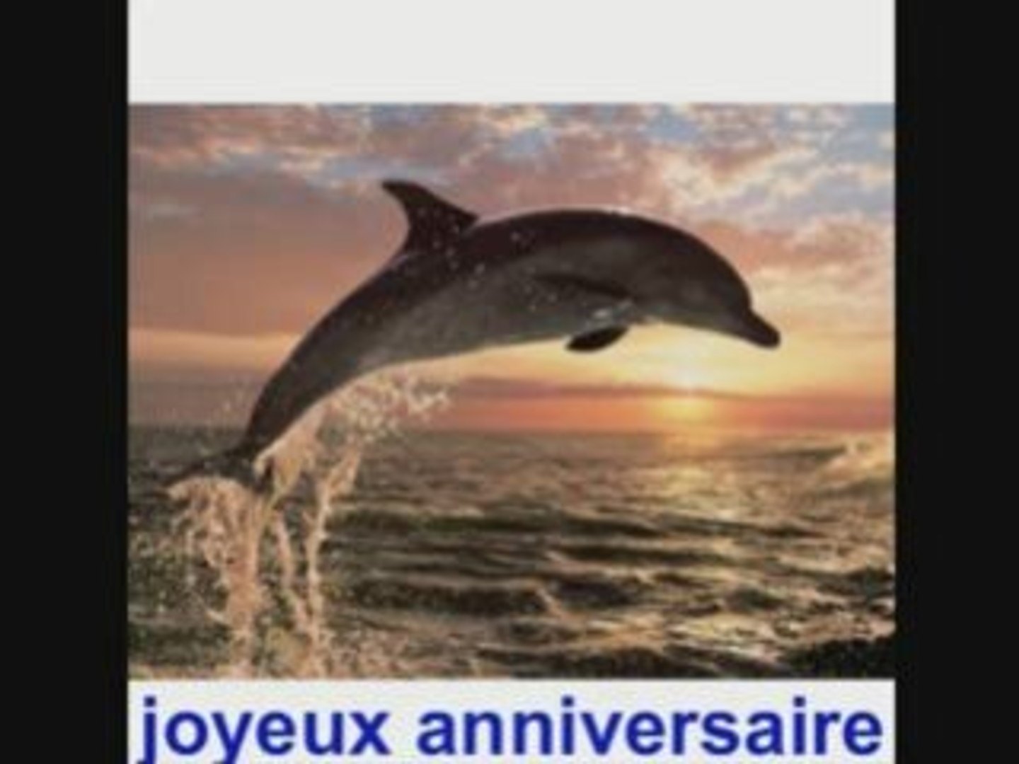 Anniversaire Dolfin 68 Video Dailymotion