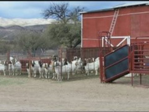 Arizona*(Organic farms for sale)*505-715-6595